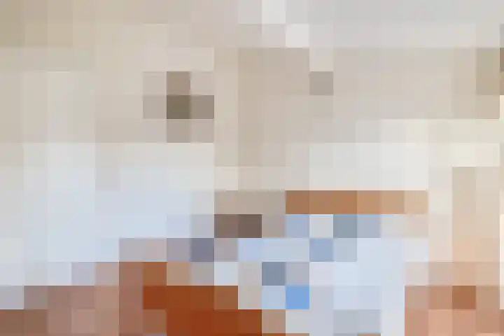 Westeind 20 D Norg thumbnail 28