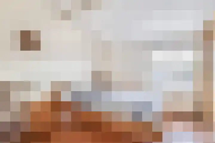 Westeind 20 D Norg thumbnail 30