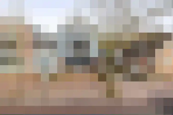 Westeind 20 D Norg thumbnail 36