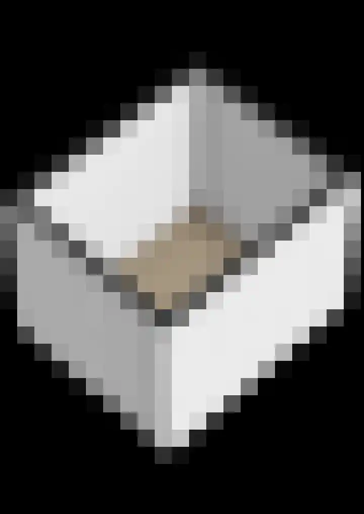 Westeind 20 D Norg thumbnail 44