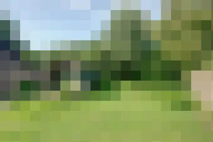 Westeind 40 Zuidbroek thumbnail 13