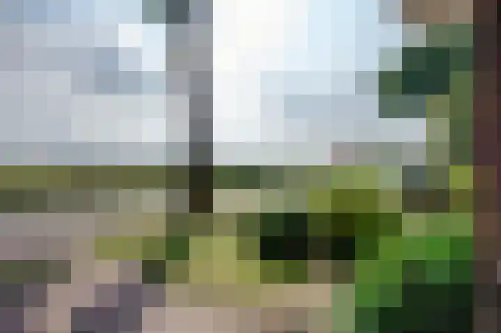 Westeind 40 Zuidbroek thumbnail 5
