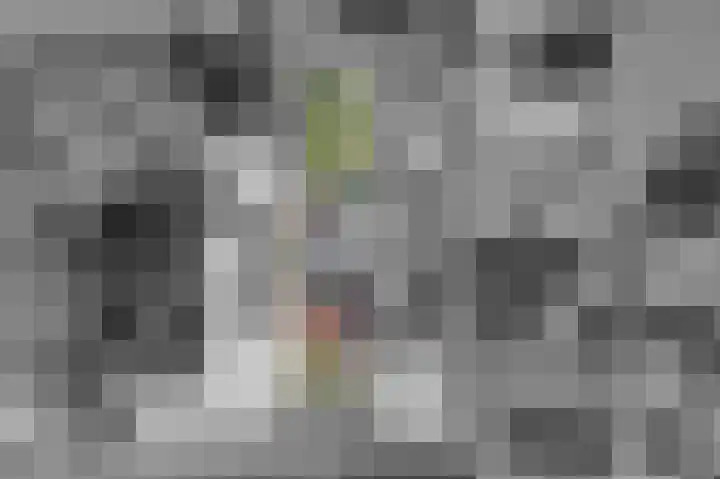 Westeind 40 Zuidbroek thumbnail 8