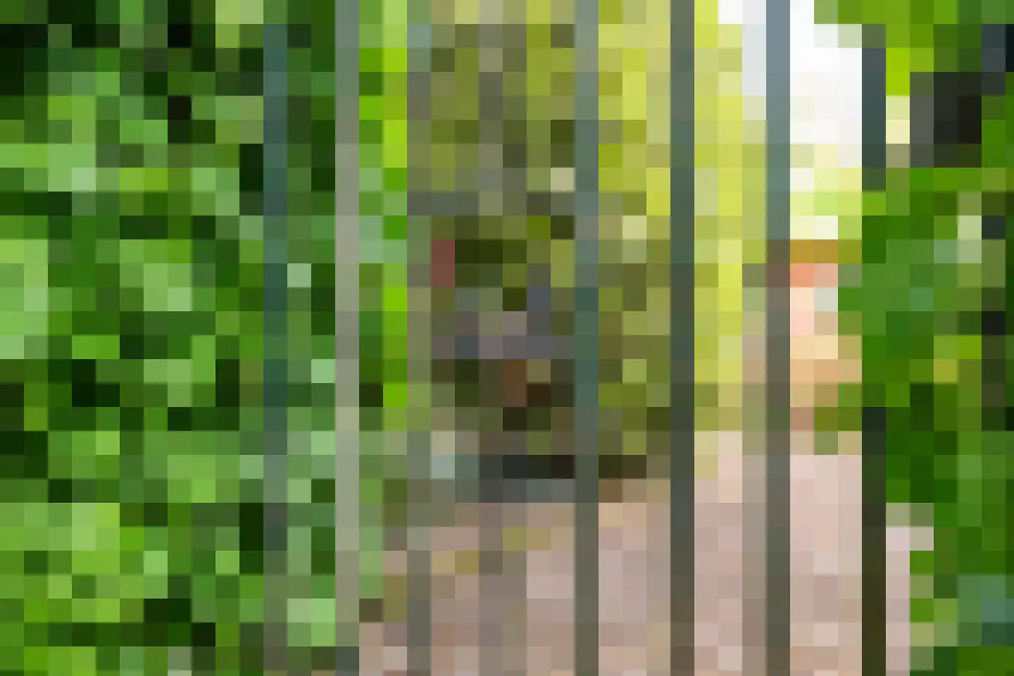 Westeind 44 Zuidbroek thumbnail 31