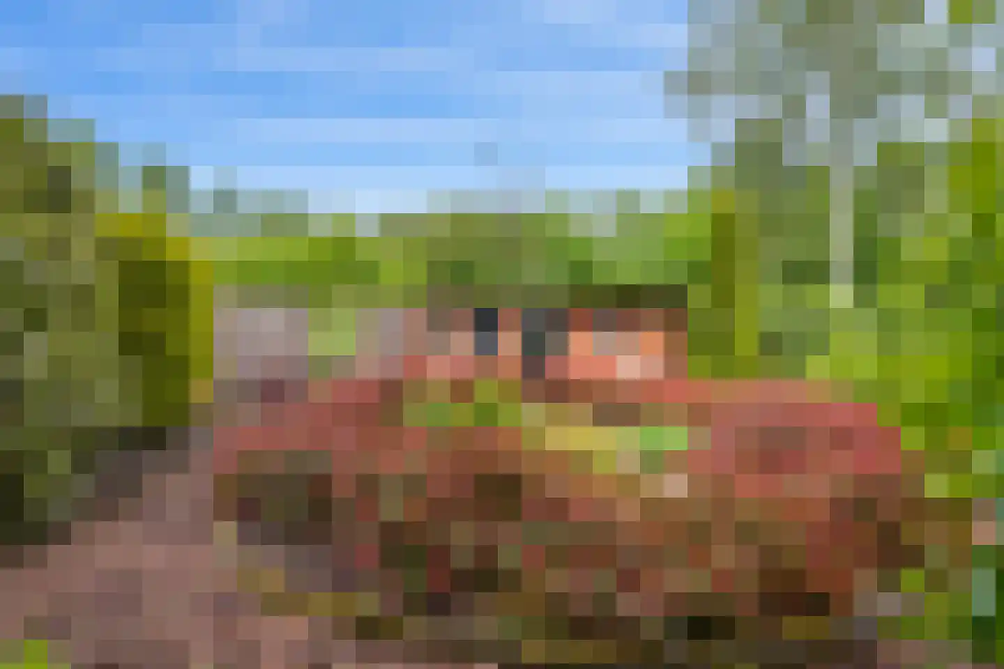 Westeind 44 Zuidbroek thumbnail 32