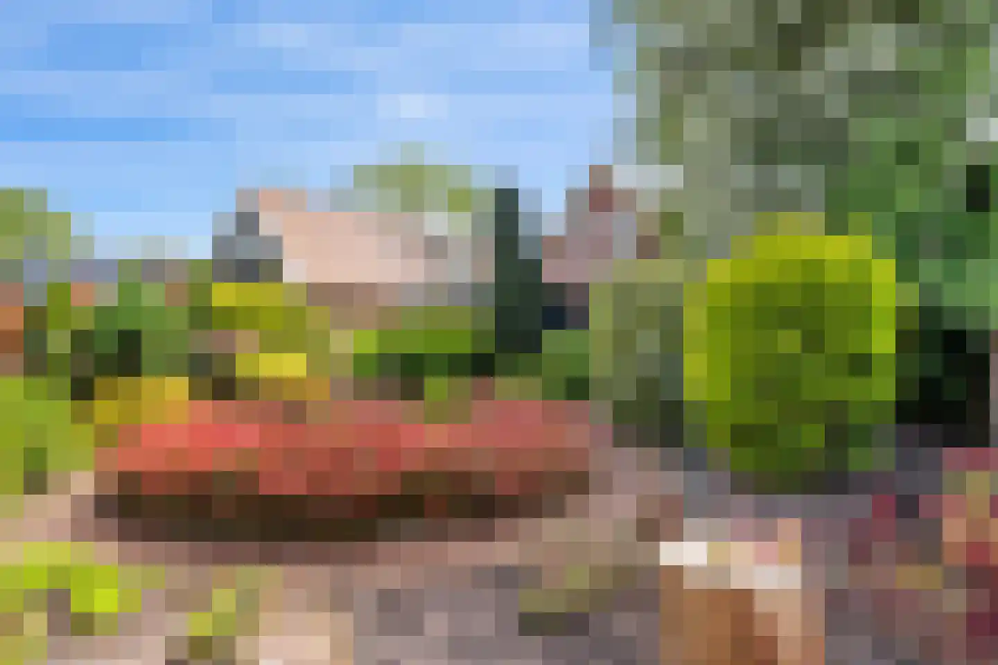 Westeind 44 Zuidbroek thumbnail 5