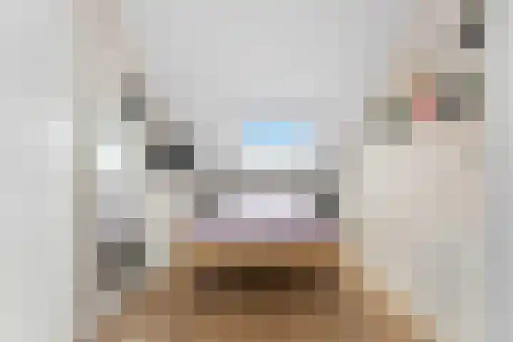 Westeind 50 Papendrecht thumbnail 35