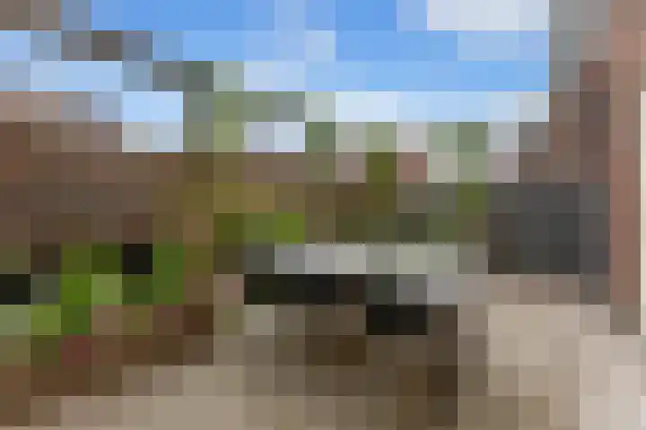 Westeind 50 Papendrecht thumbnail 46