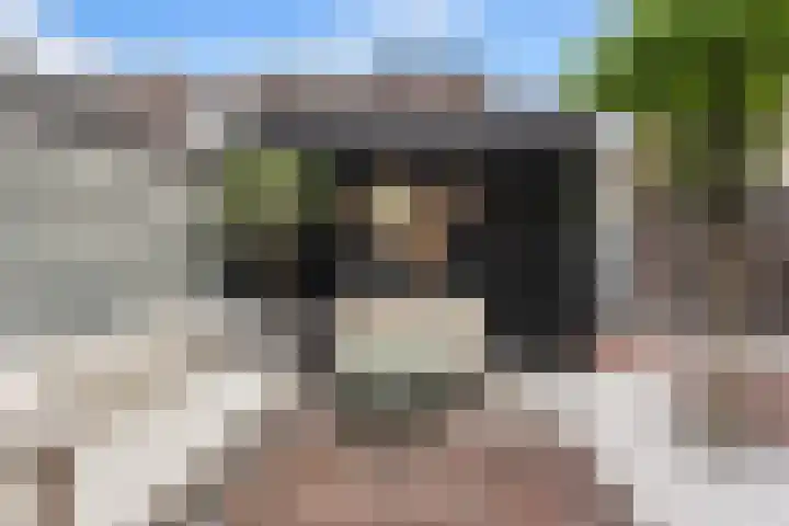 Westeind 50 Papendrecht thumbnail 51