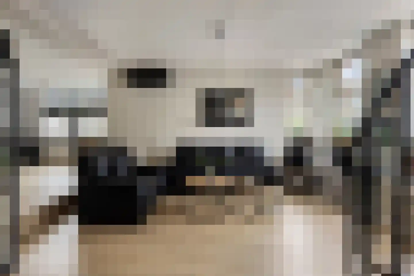 Westeind 82 Papendrecht thumbnail 14