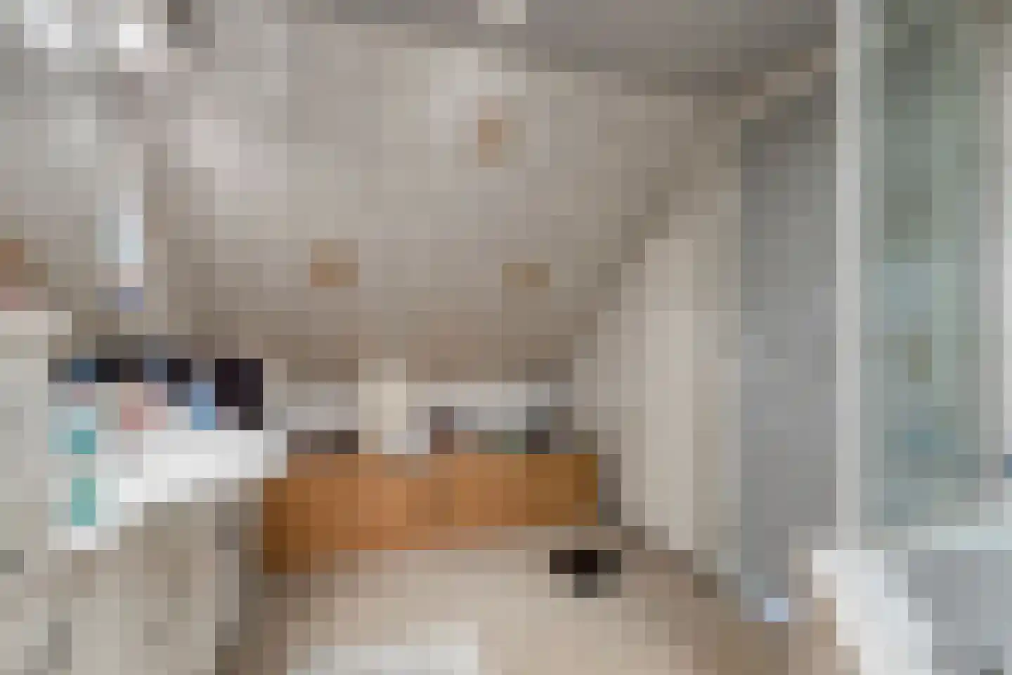 Westeind 82 Papendrecht thumbnail 30