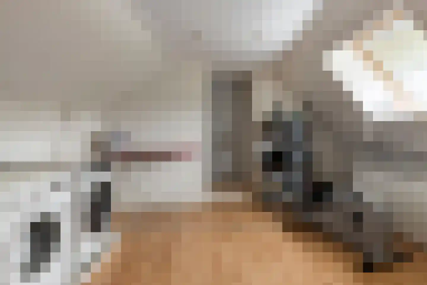 Westeind 82 Papendrecht thumbnail 34