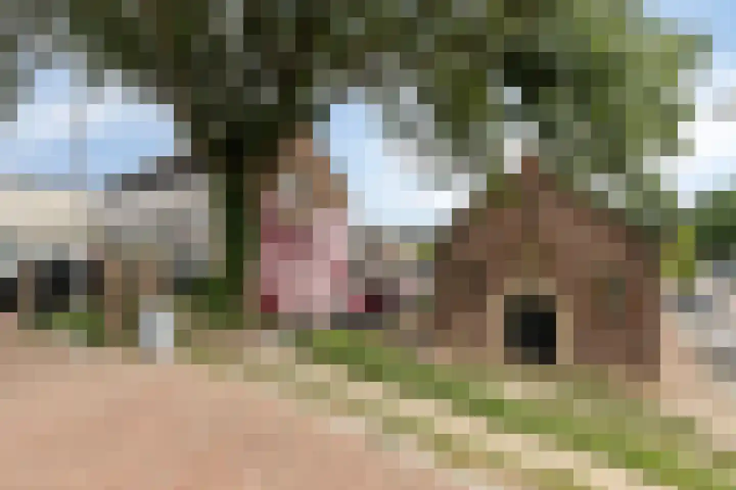 Westeind 82 Papendrecht thumbnail 52
