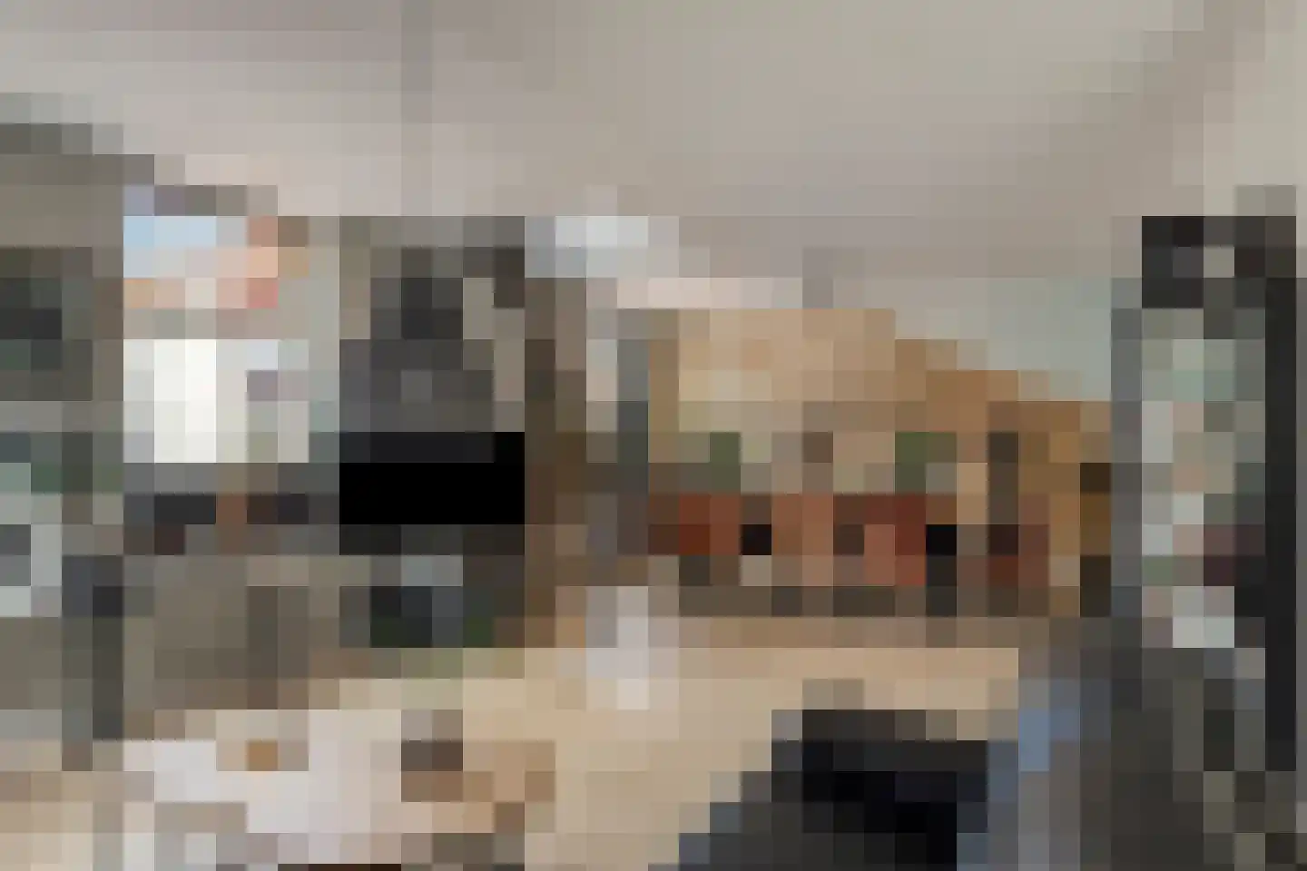 Westeind 82 Papendrecht thumbnail 7