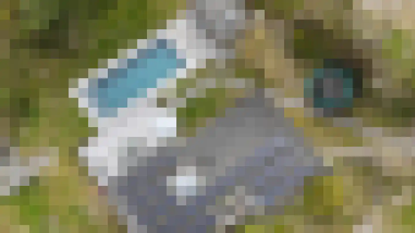 Westeinde 11 Ouddorp thumbnail 25