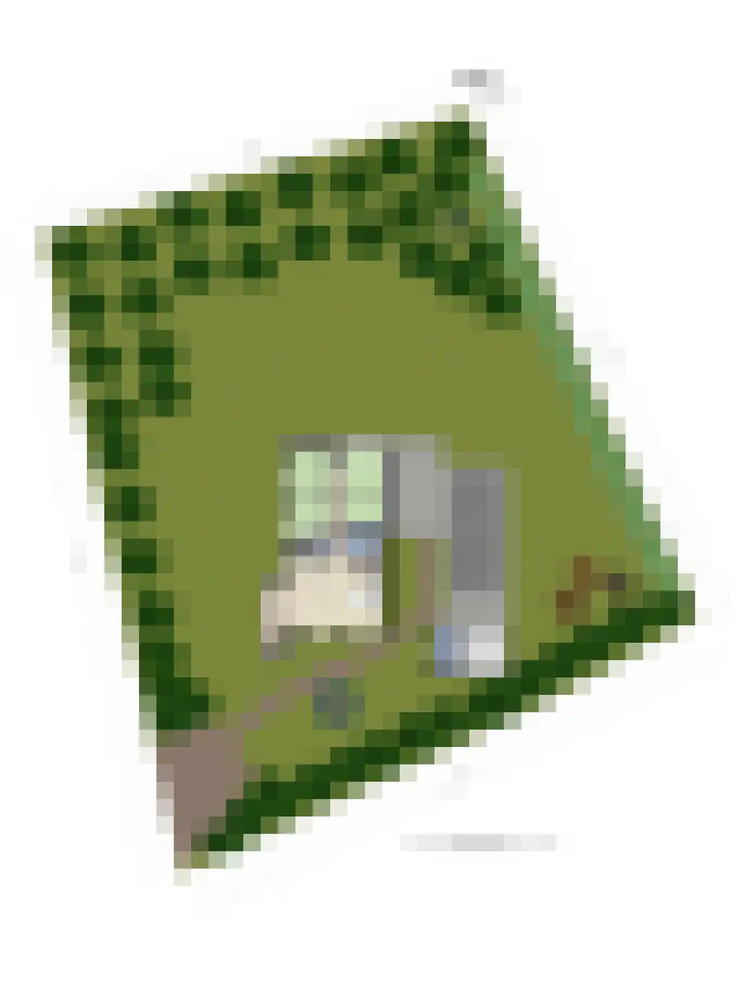 Westeinde 11 Ouddorp thumbnail 29