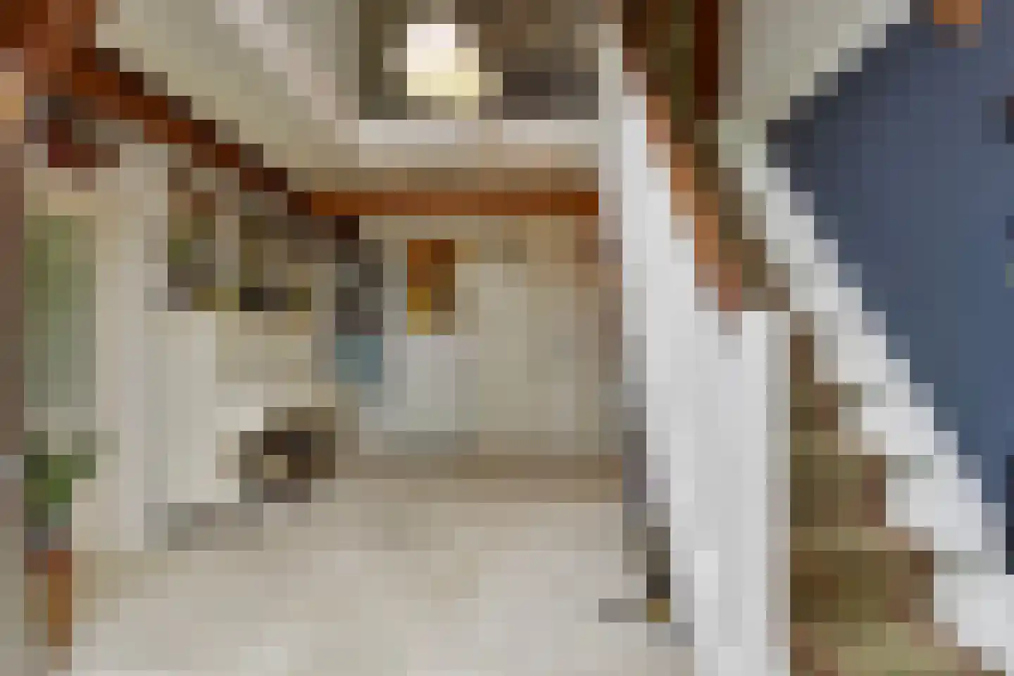 Westeinde 110 Nieuwleusen thumbnail 12