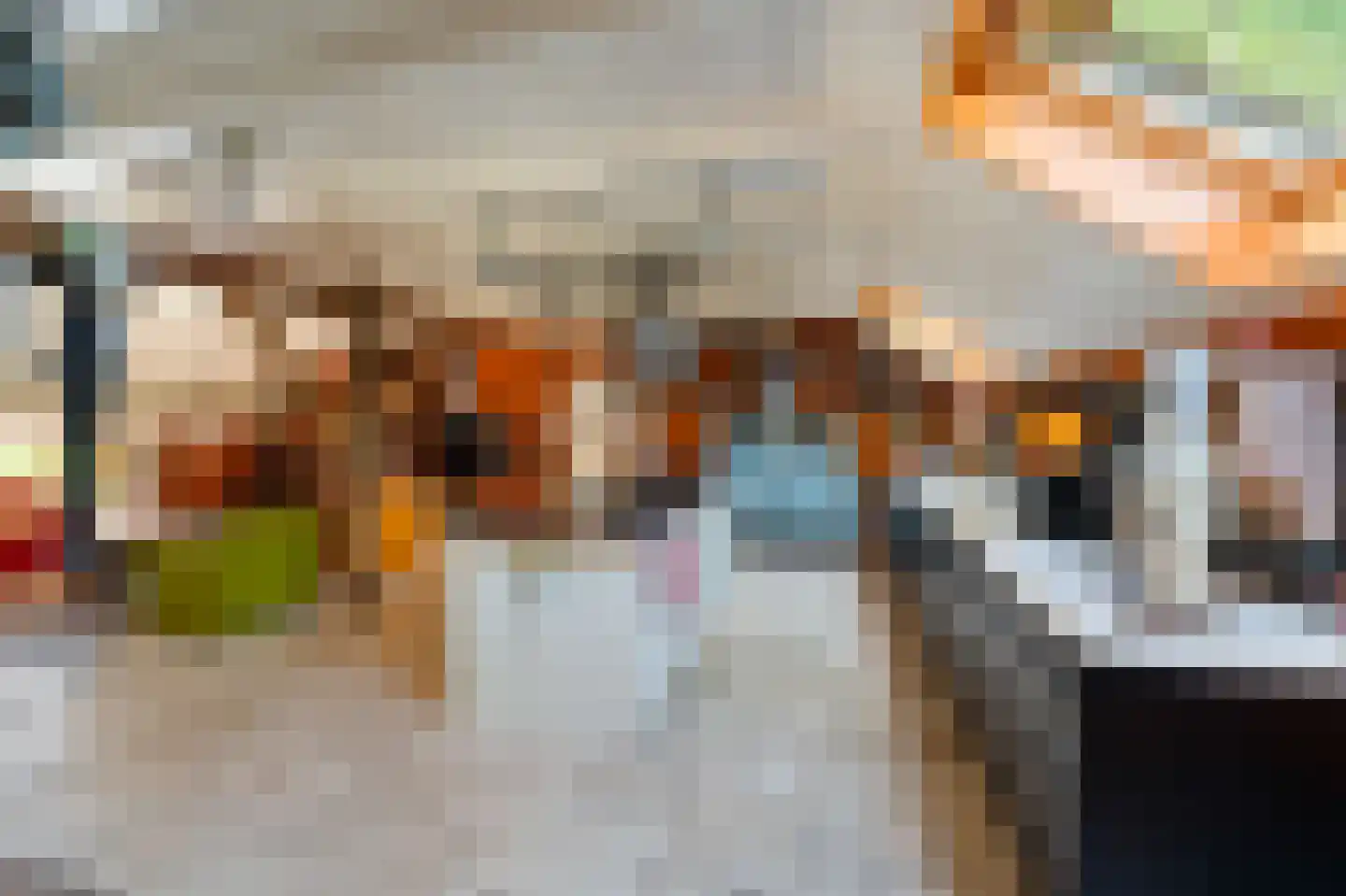 Westeinde 110 Nieuwleusen thumbnail 13