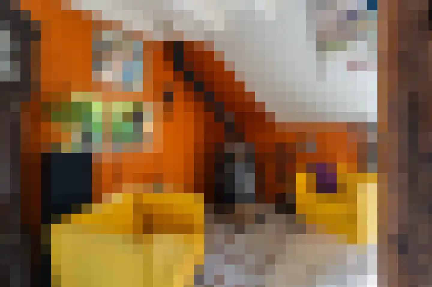 Westeinde 110 Nieuwleusen thumbnail 18