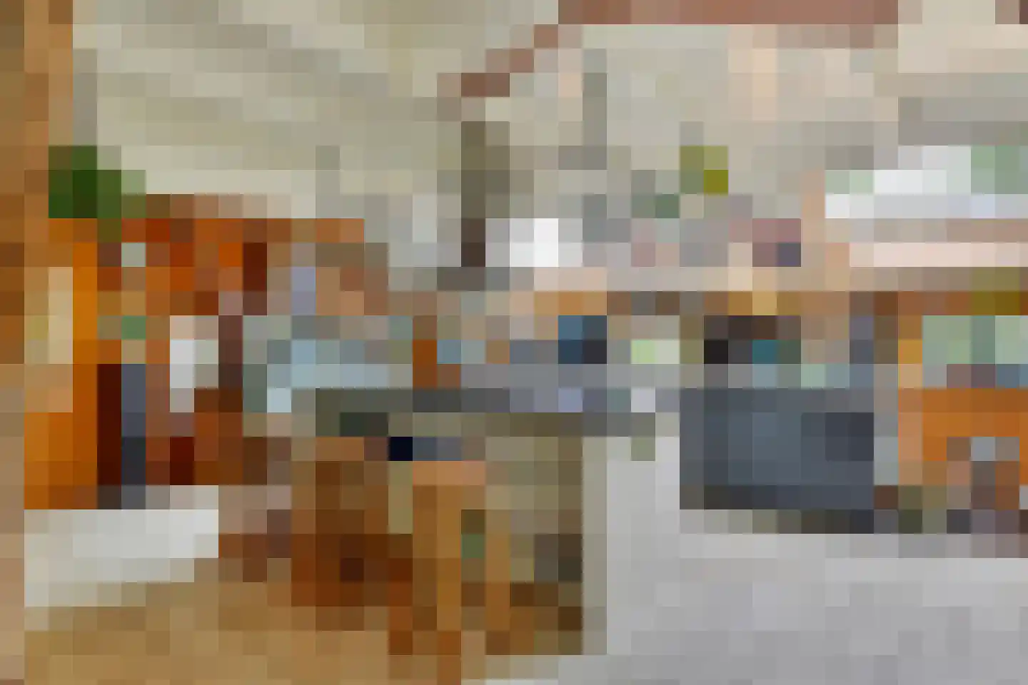 Westeinde 110 Nieuwleusen thumbnail 19