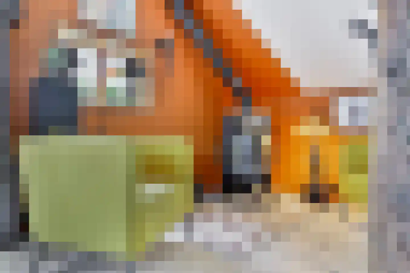 Westeinde 110 Nieuwleusen thumbnail 22