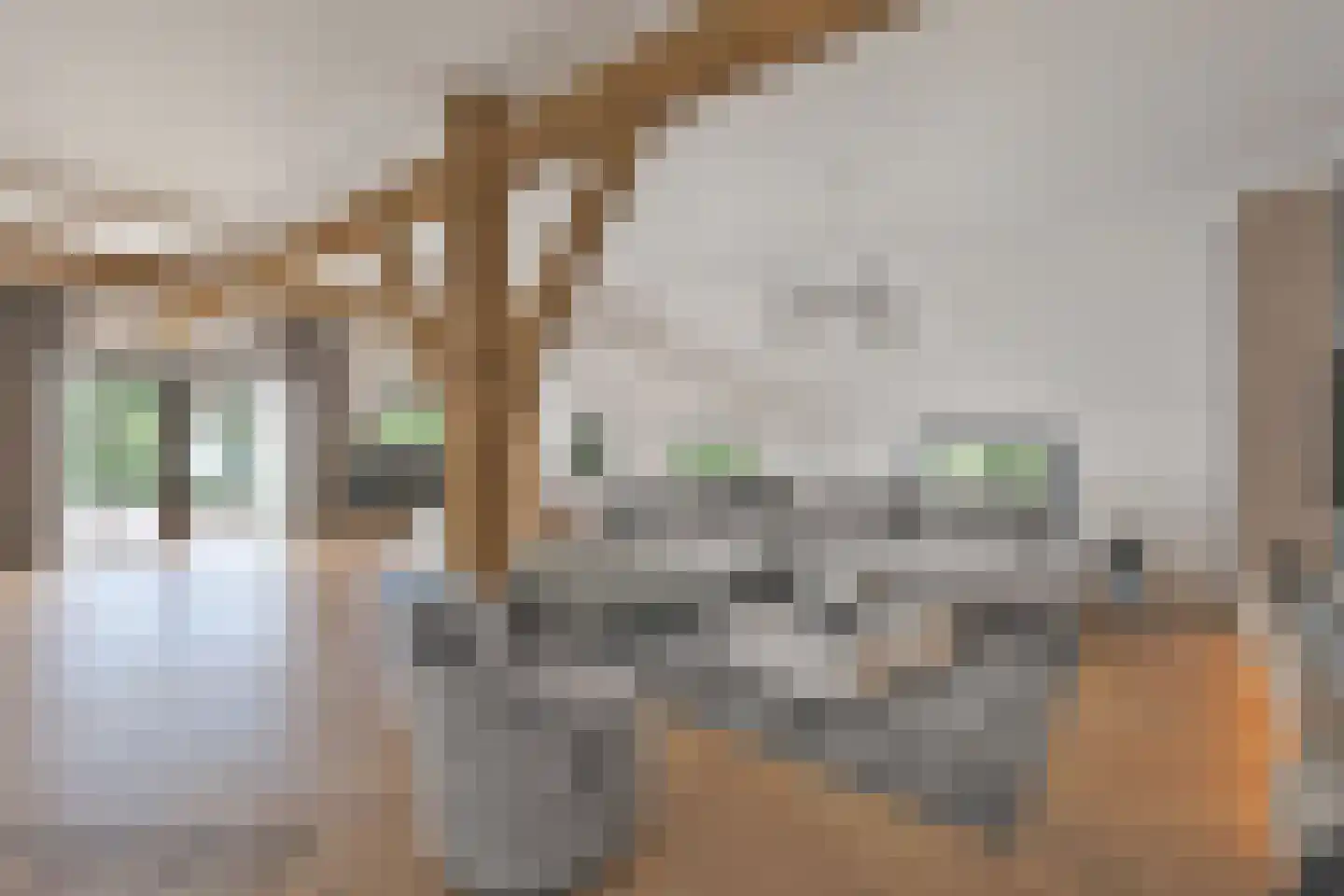 Westeinde 110 Nieuwleusen thumbnail 24