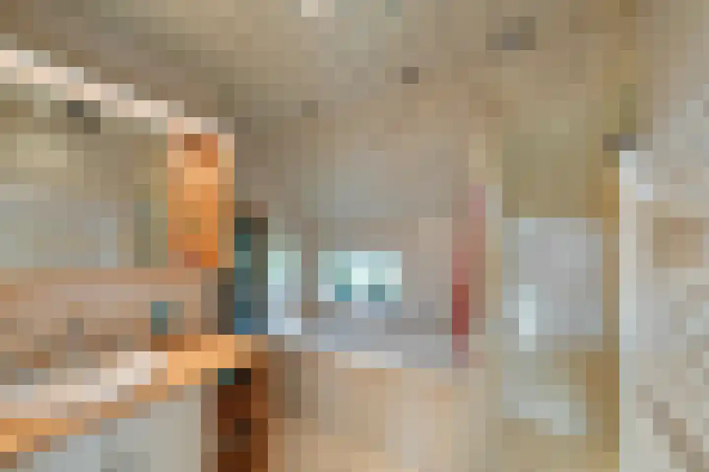 Westeinde 110 Nieuwleusen thumbnail 26