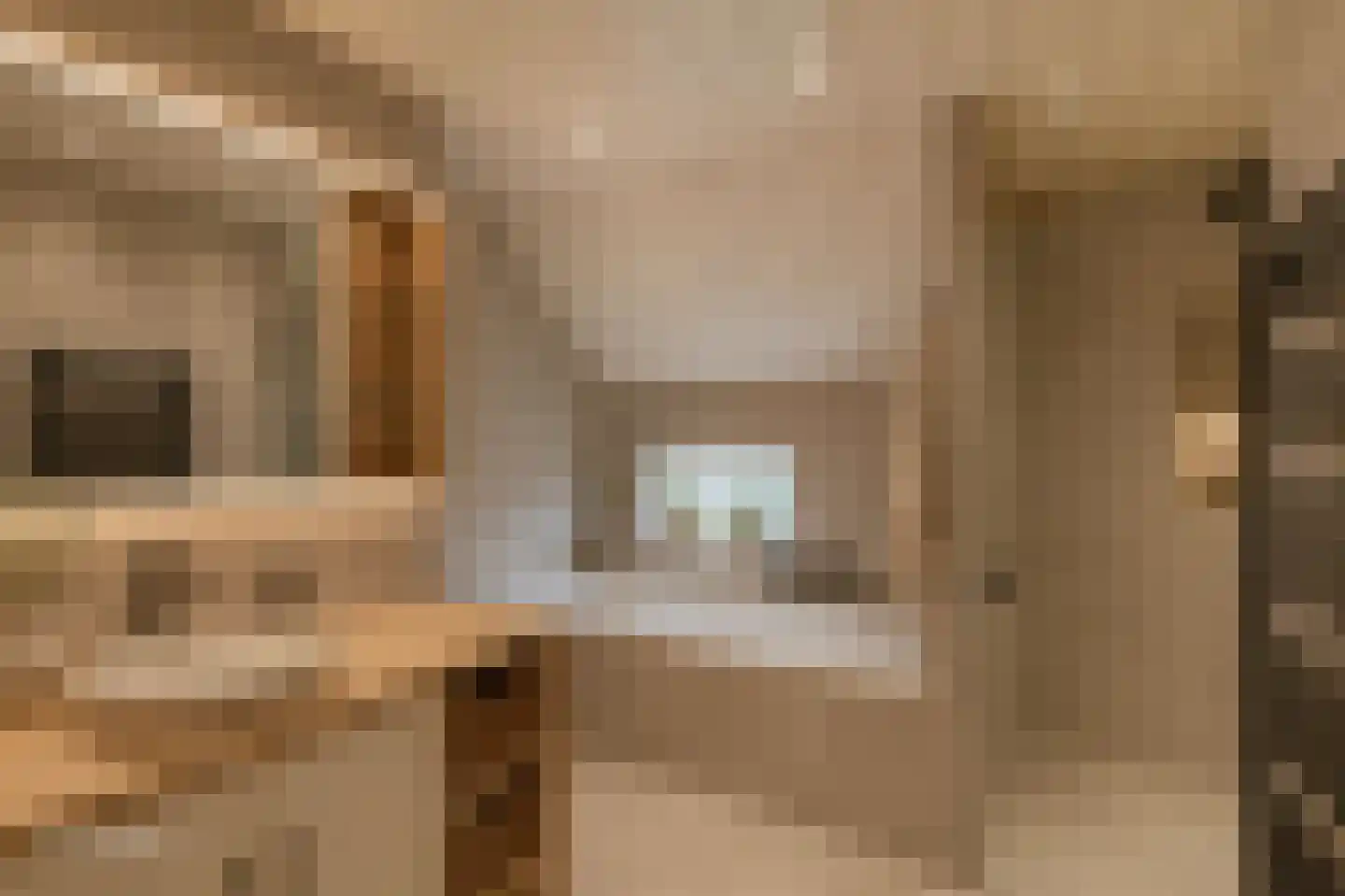 Westeinde 110 Nieuwleusen thumbnail 27