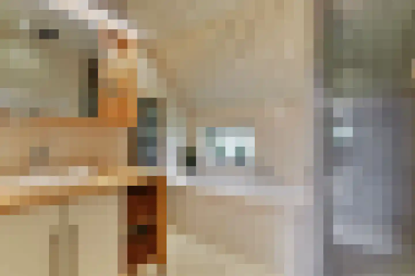 Westeinde 110 Nieuwleusen thumbnail 33
