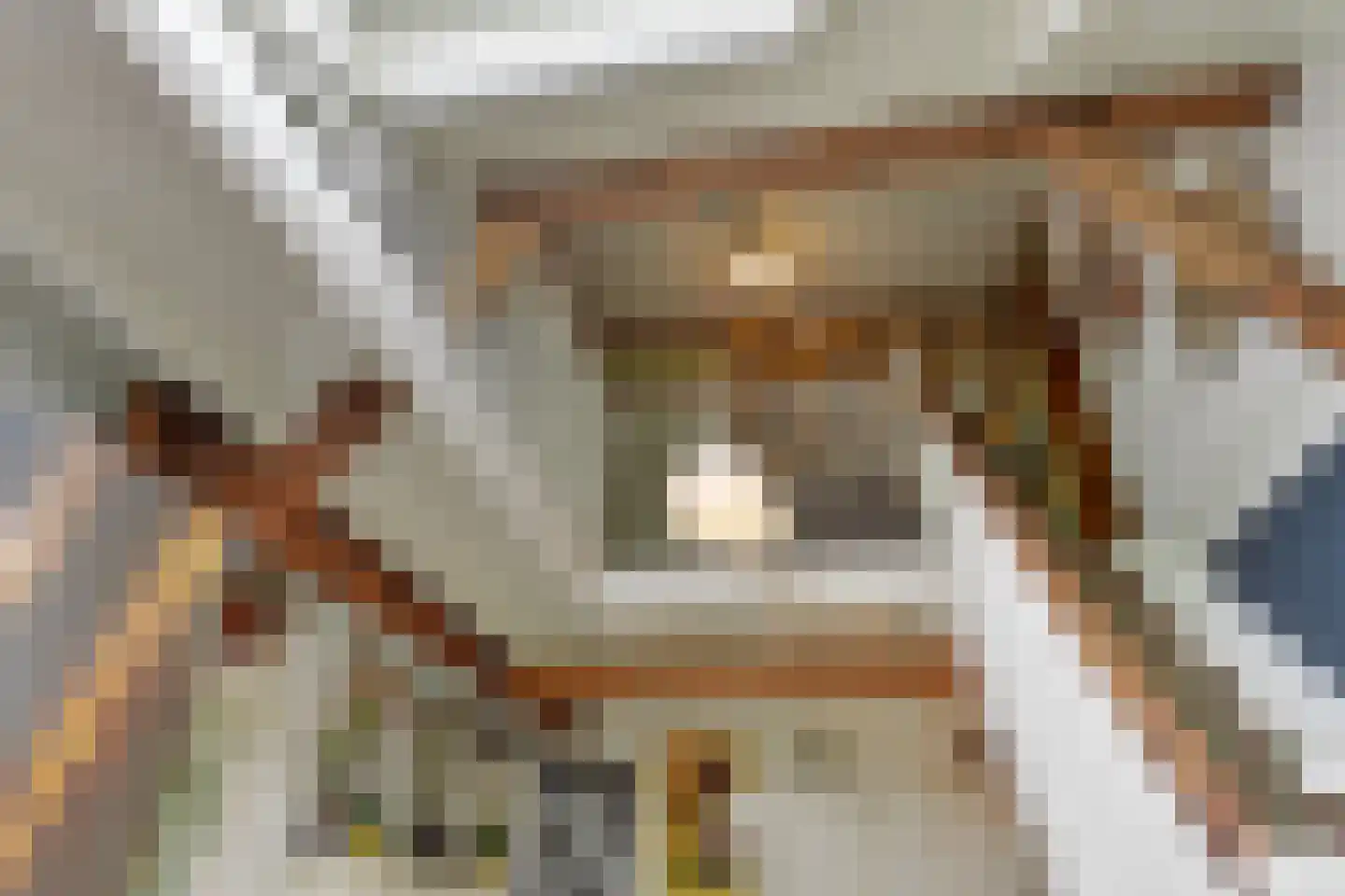 Westeinde 110 Nieuwleusen thumbnail 34