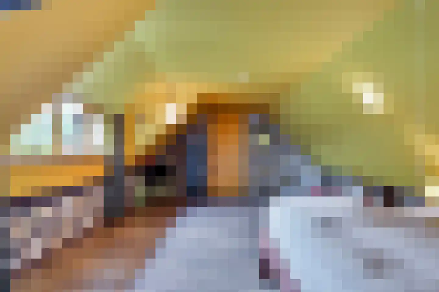 Westeinde 110 Nieuwleusen thumbnail 38