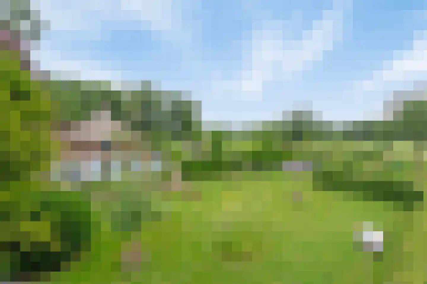 Westeinde 110 Nieuwleusen thumbnail 4