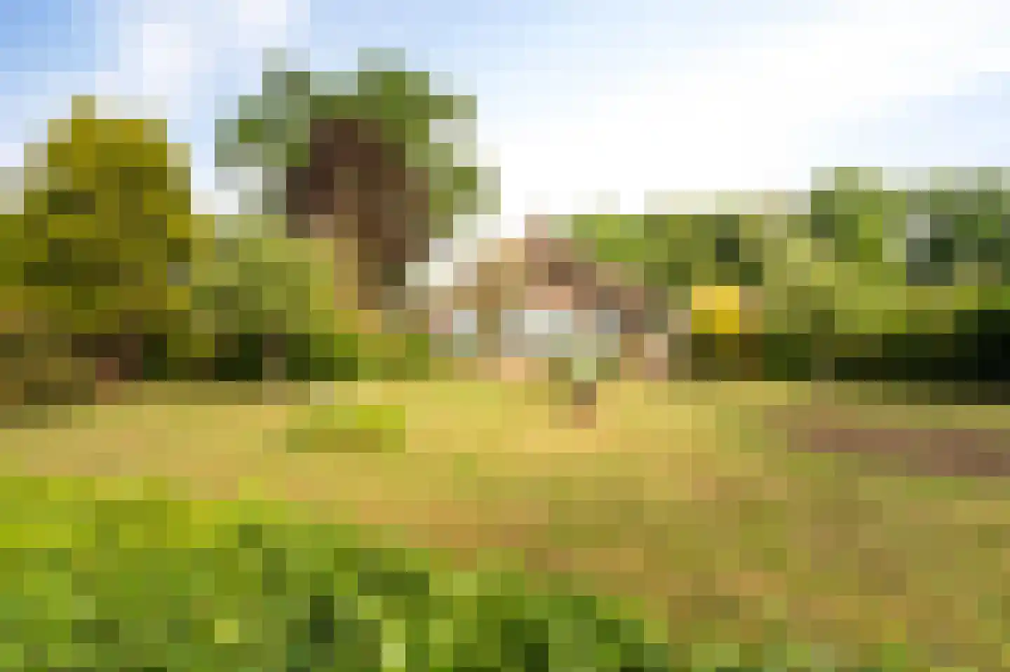 Westeinde 110 Nieuwleusen thumbnail 4