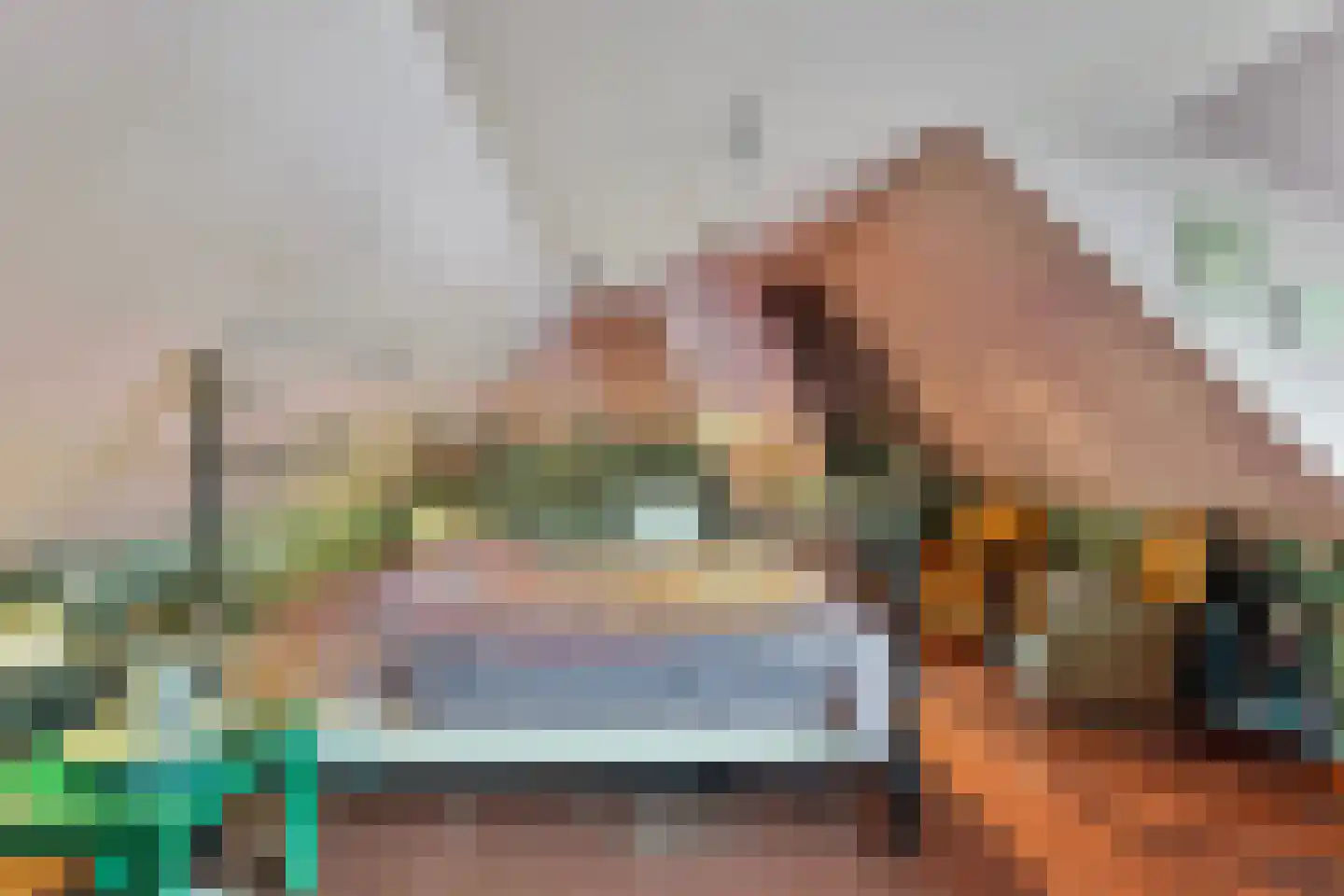 Westeinde 110 Nieuwleusen thumbnail 41