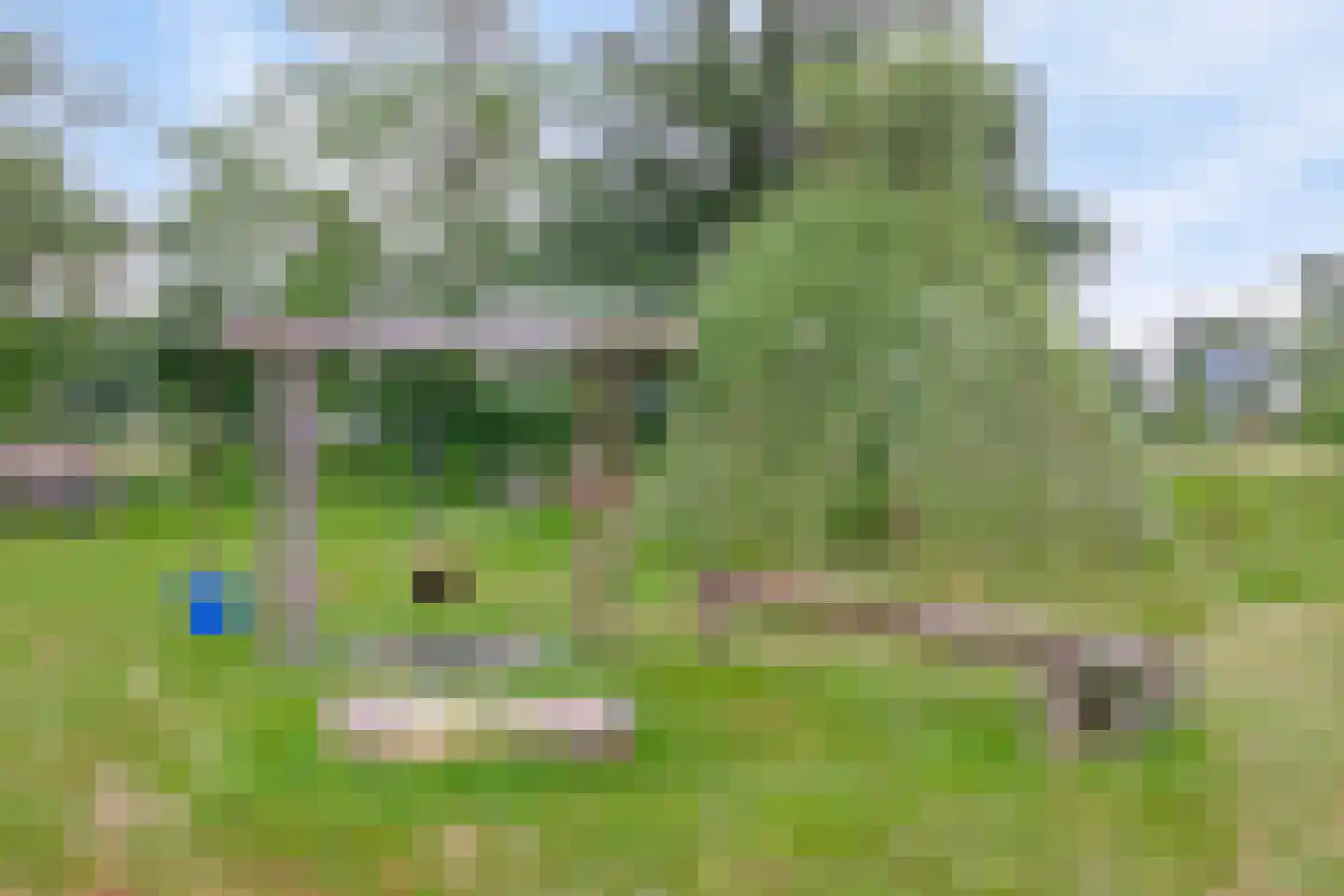 Westeinde 110 Nieuwleusen thumbnail 43