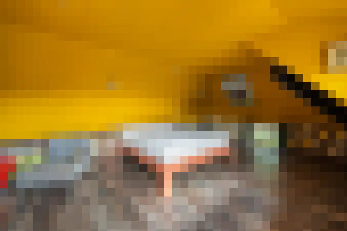 Westeinde 110 Nieuwleusen thumbnail 47