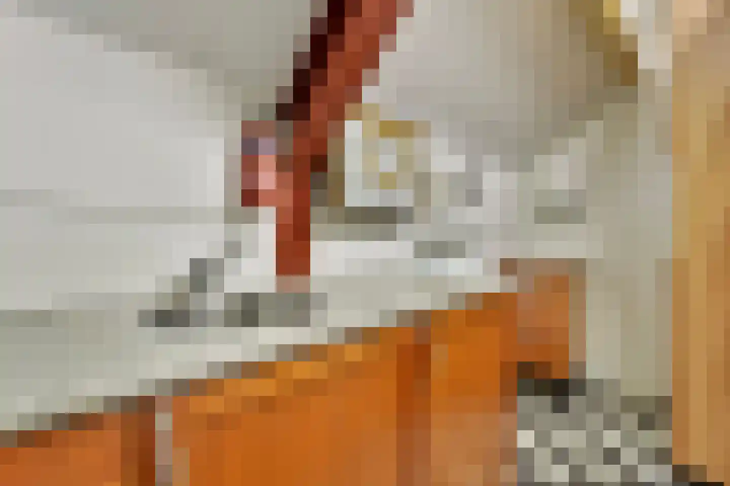 Westeinde 110 Nieuwleusen thumbnail 47