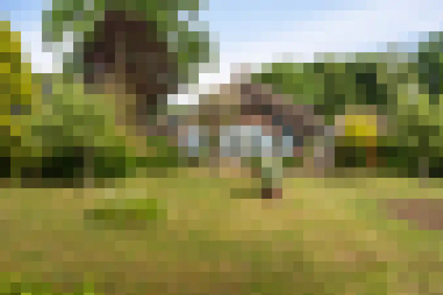 Westeinde 110 Nieuwleusen thumbnail 5