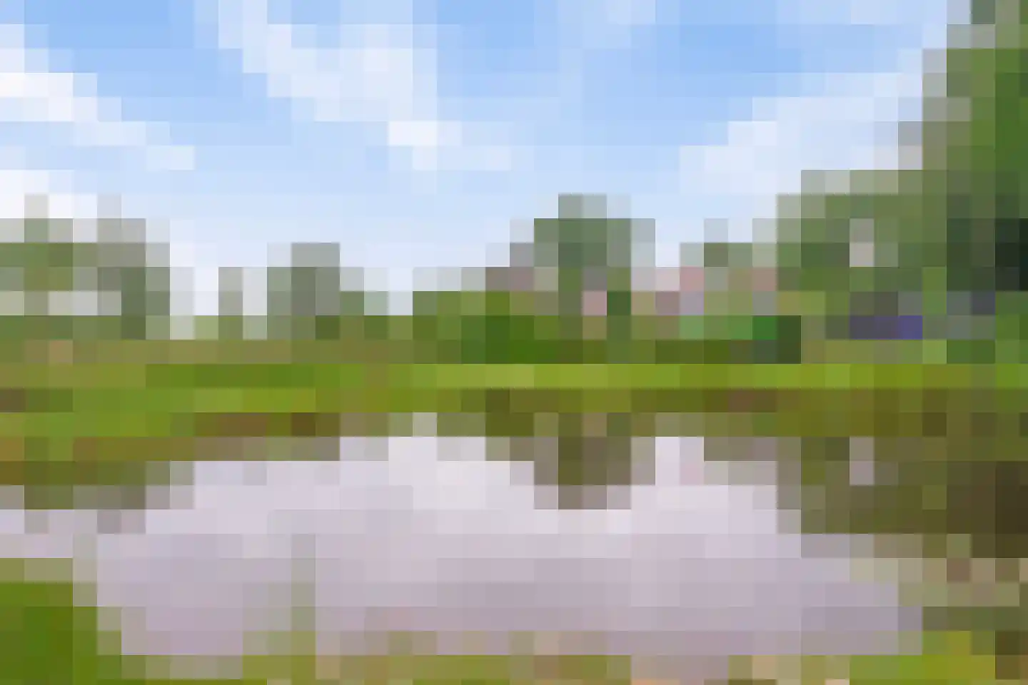 Westeinde 110 Nieuwleusen thumbnail 5