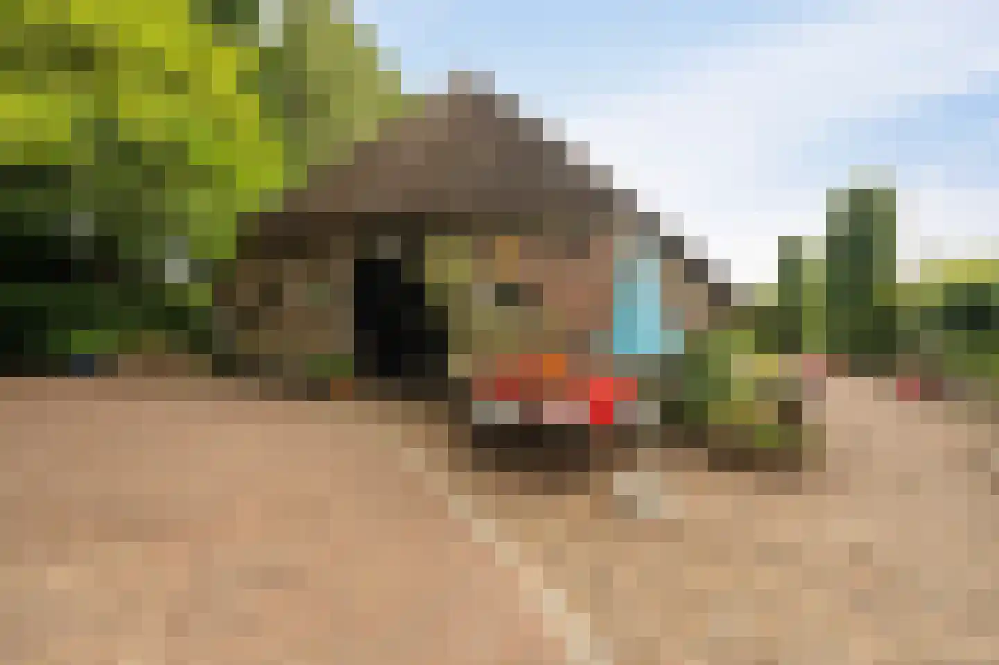 Westeinde 110 Nieuwleusen thumbnail 50