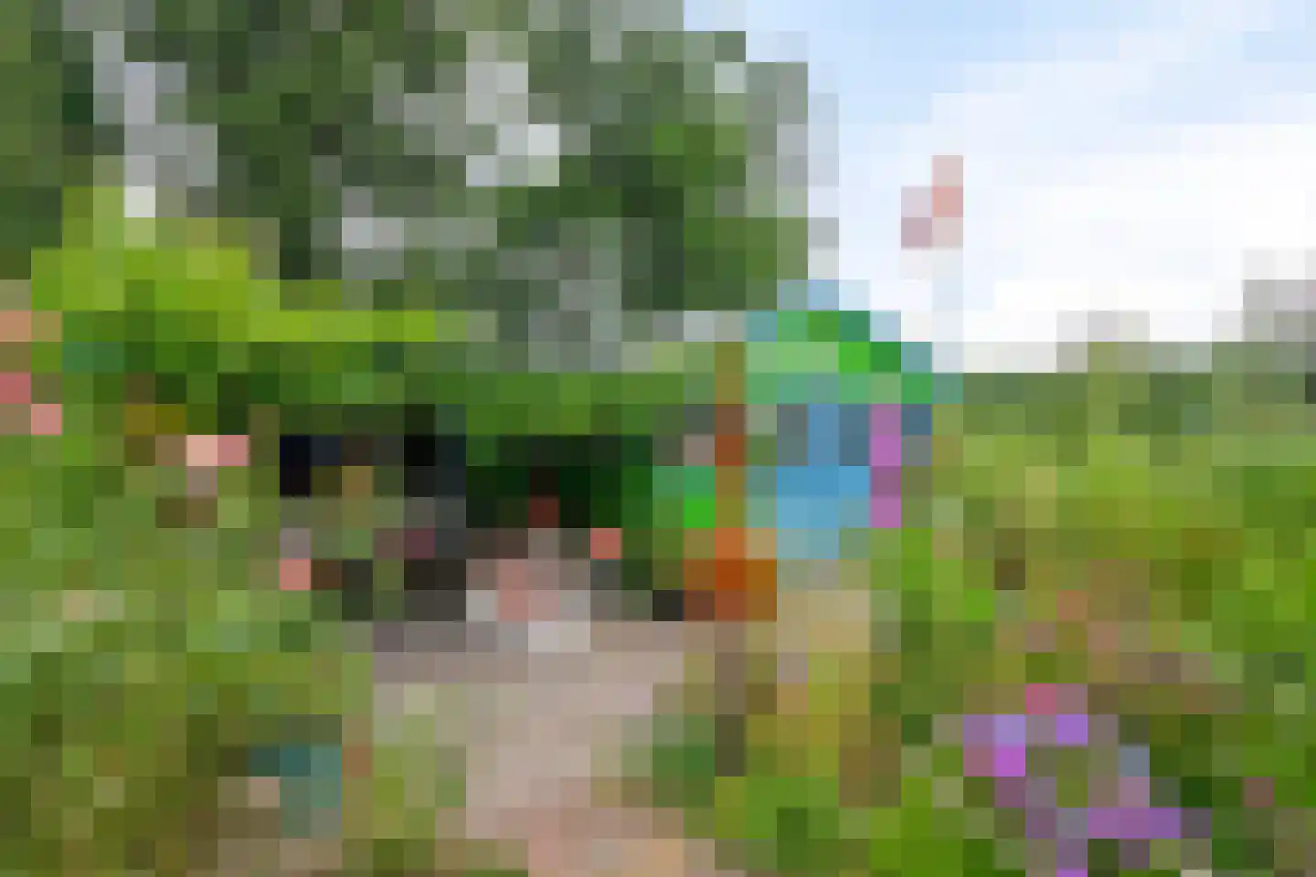 Westeinde 110 Nieuwleusen thumbnail 52