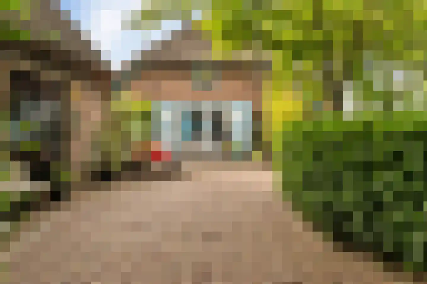 Westeinde 110 Nieuwleusen thumbnail 52