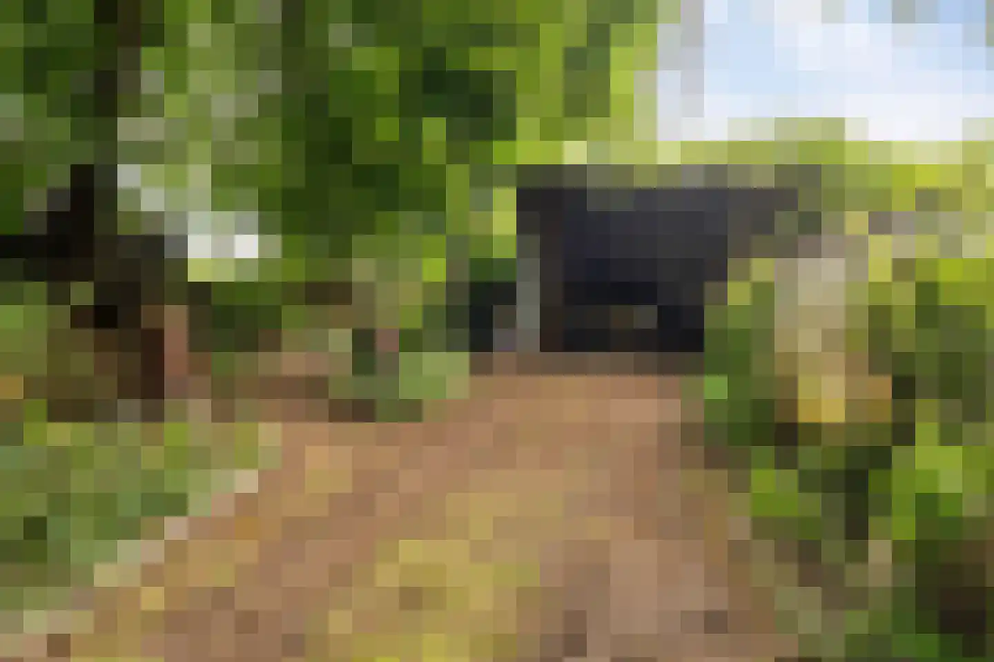 Westeinde 110 Nieuwleusen thumbnail 53