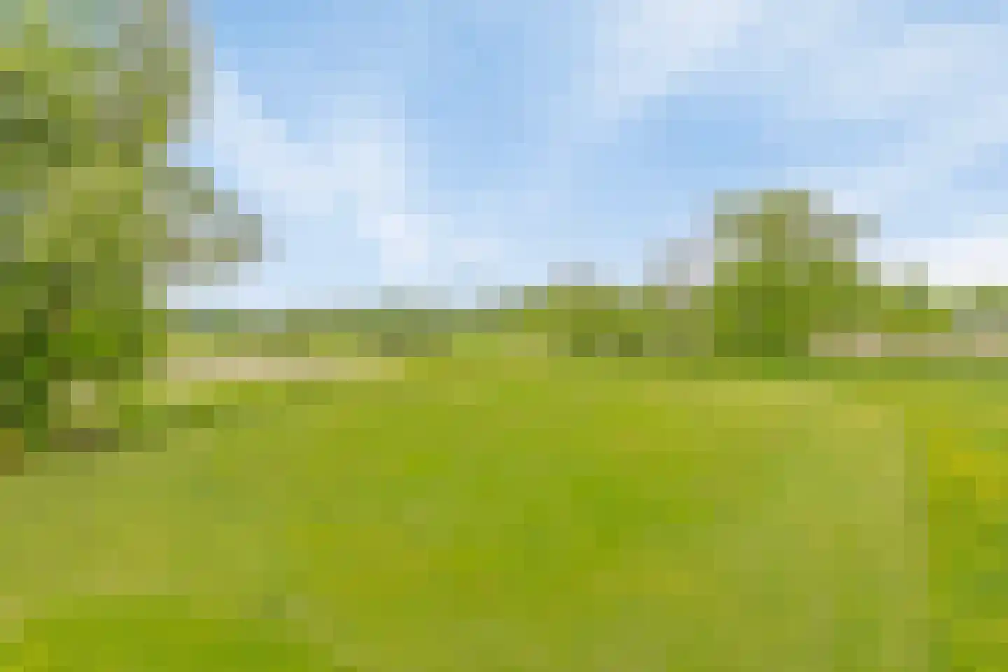 Westeinde 110 Nieuwleusen thumbnail 54
