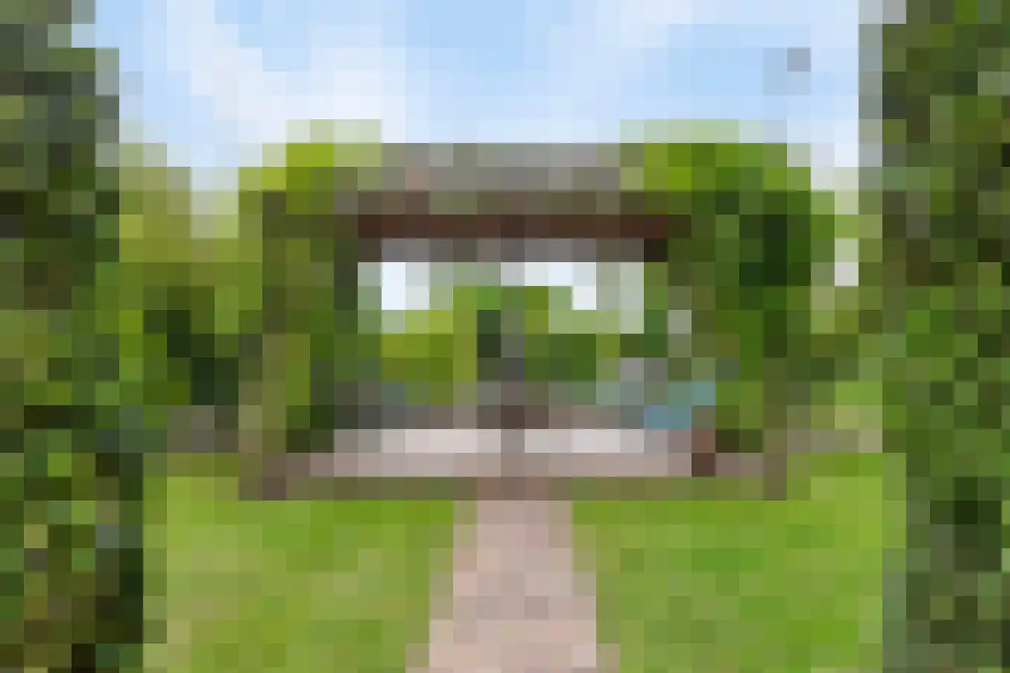 Westeinde 110 Nieuwleusen thumbnail 56