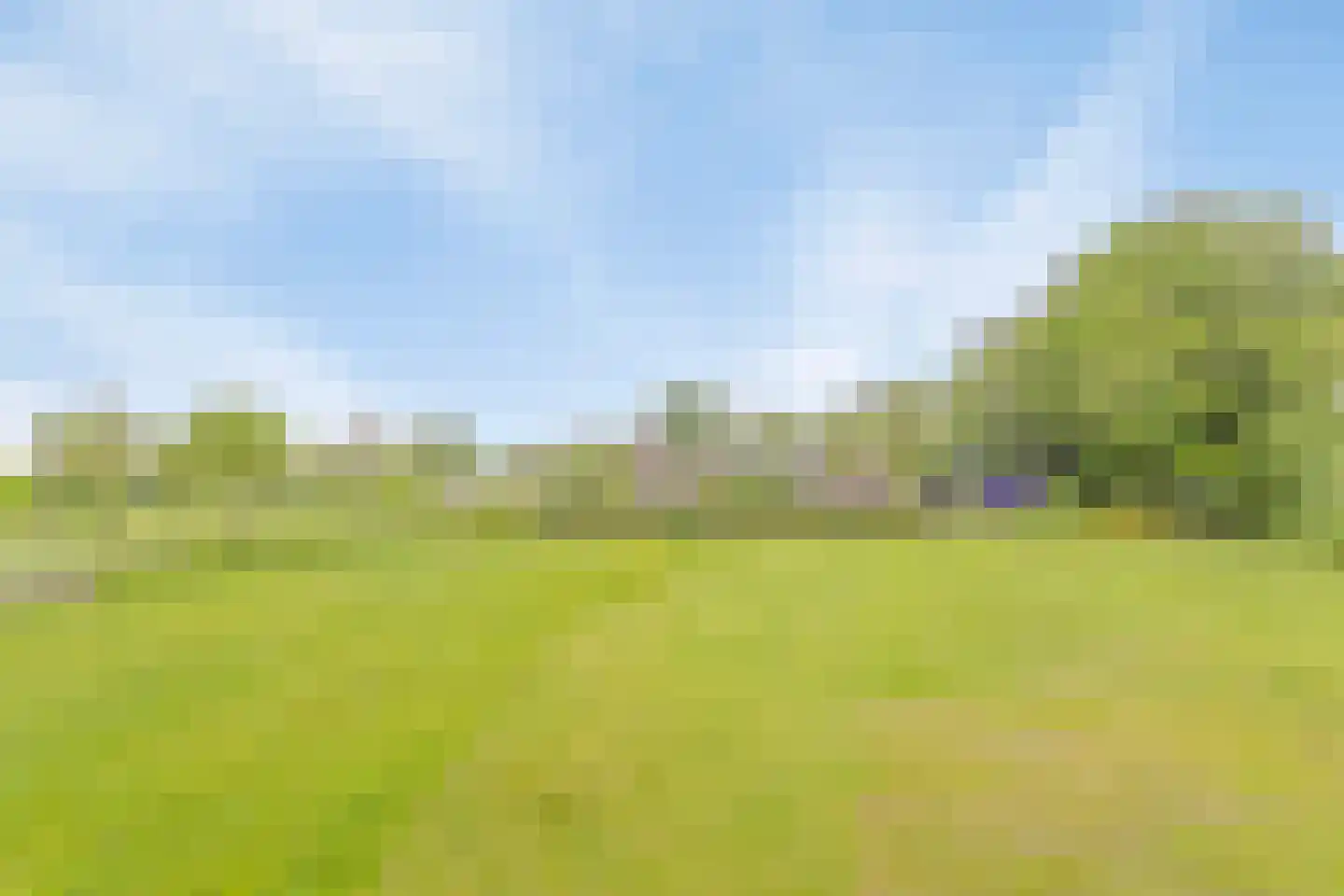 Westeinde 110 Nieuwleusen thumbnail 57