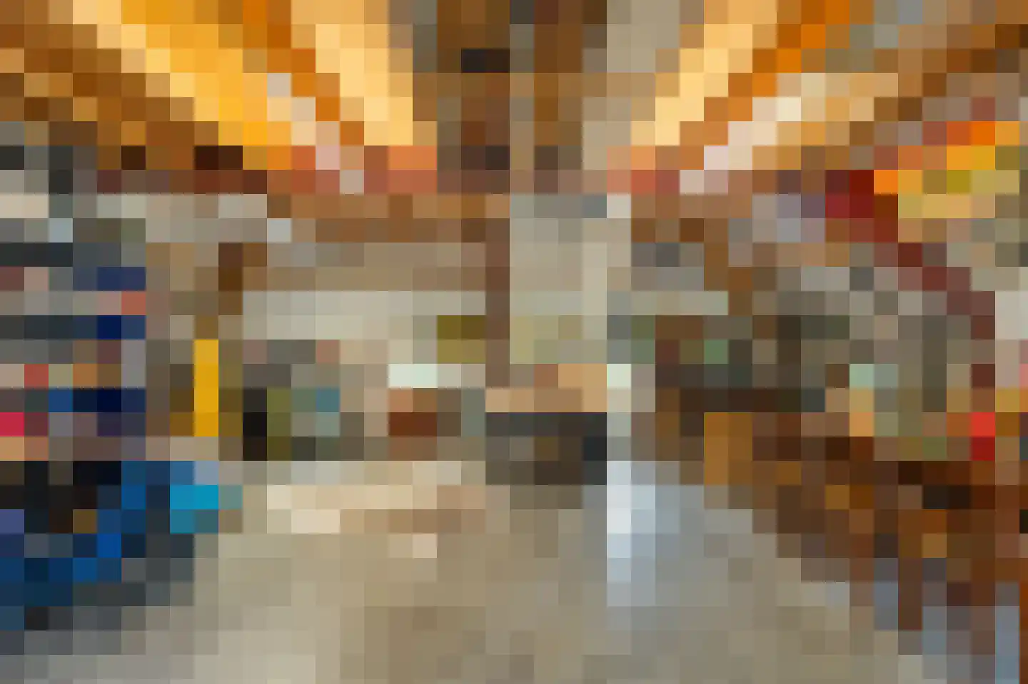 Westeinde 110 Nieuwleusen thumbnail 59
