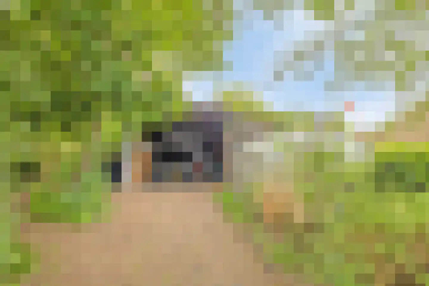 Westeinde 110 Nieuwleusen thumbnail 62