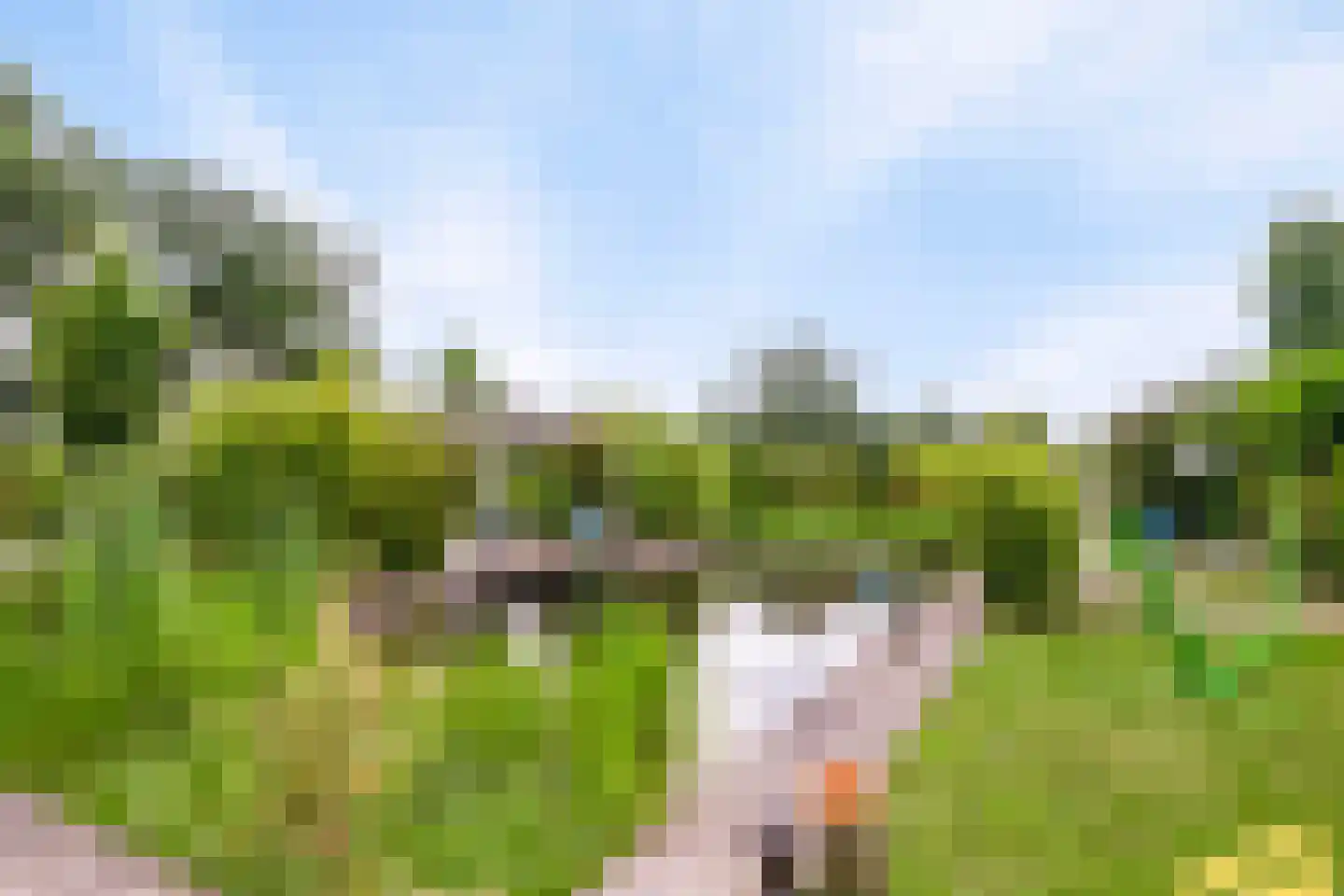Westeinde 110 Nieuwleusen thumbnail 63