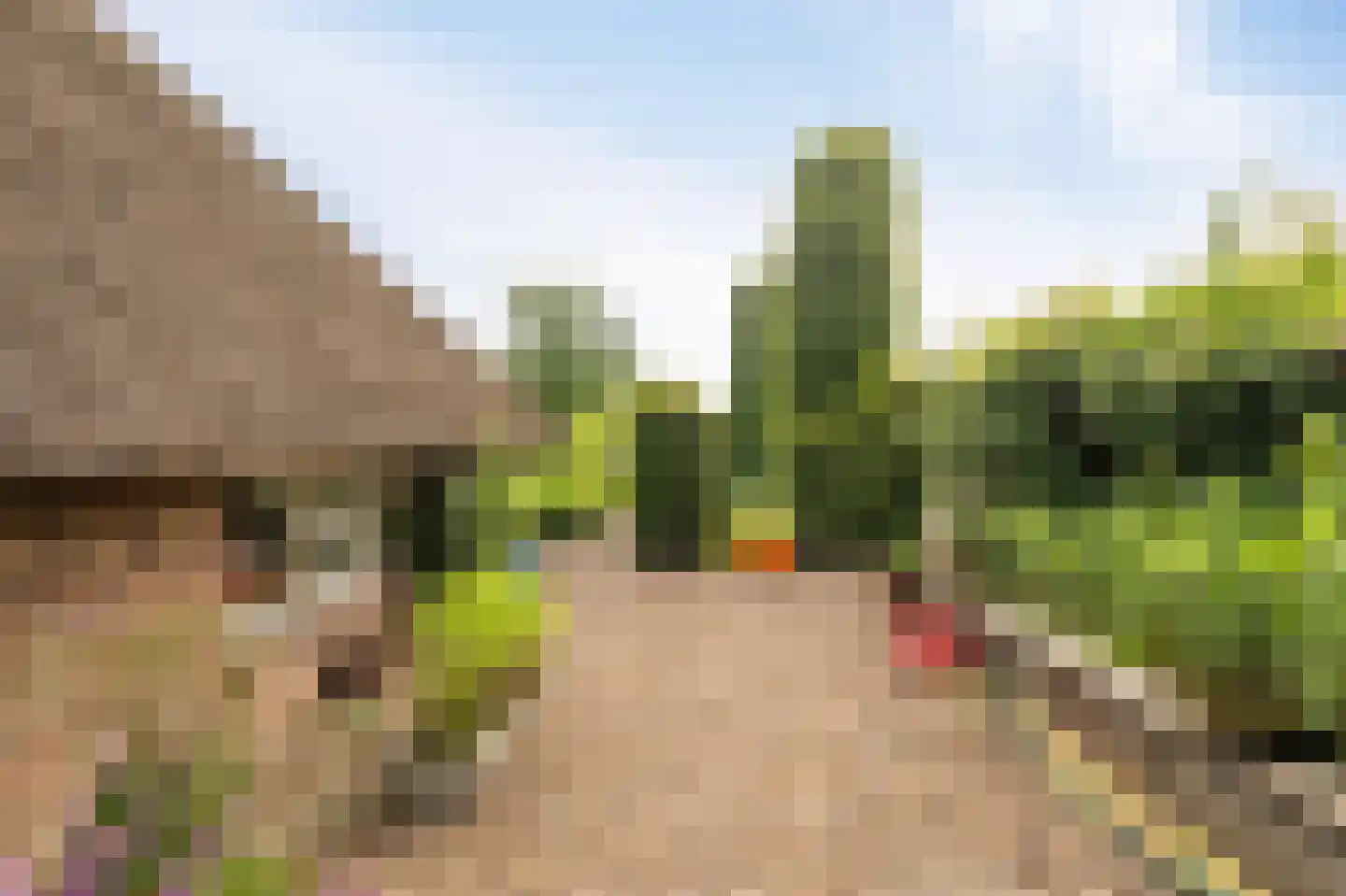 Westeinde 110 Nieuwleusen thumbnail 65
